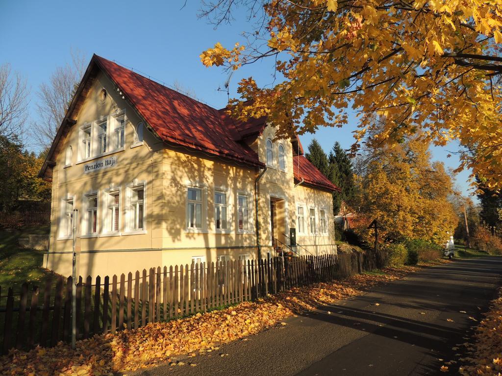 Penzion Haji Janov nad Nisou Eksteriør billede